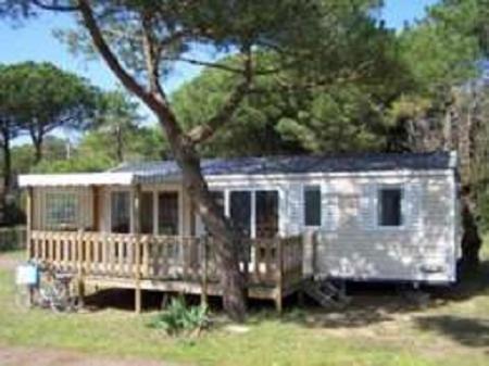 Le Suroit Camping Le Bois-Plage-en-Ré
