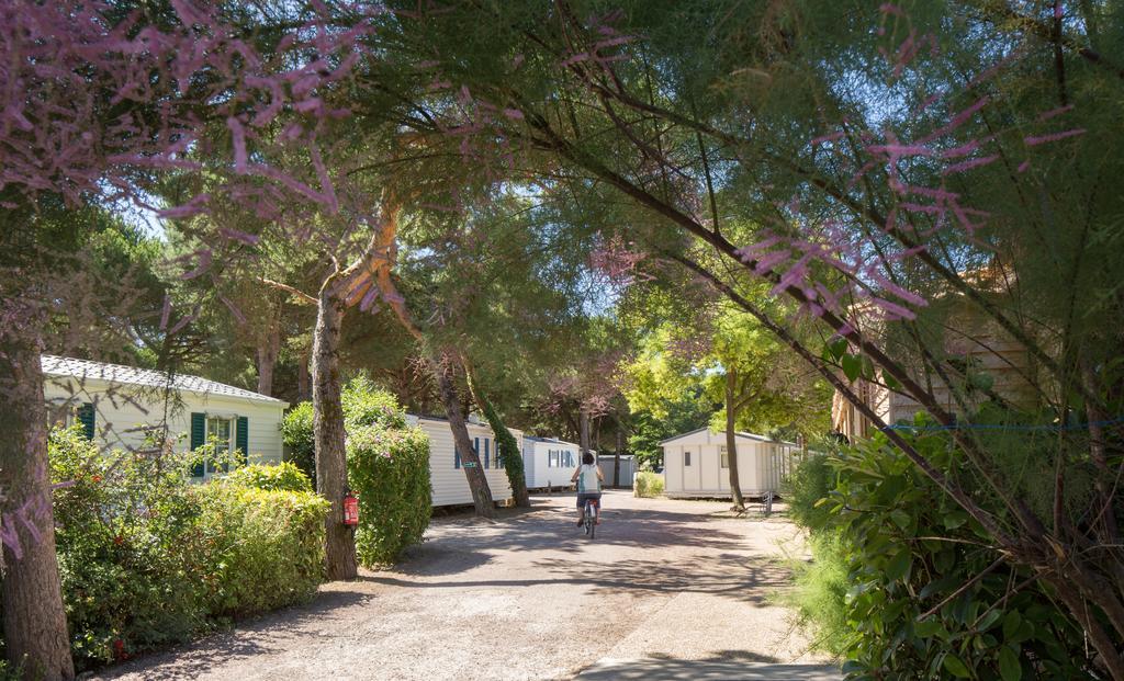 Le Suroit Camping 3*